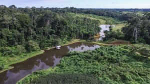 ARTIGO - A Amazônia tem solução - noticias, brasil