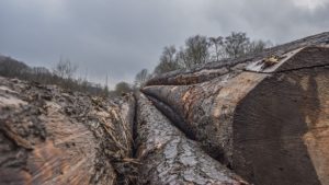 Madeira em área externa de casa protegida contra sol e chuva