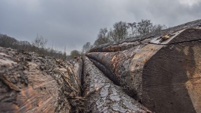 Madeira em área externa de casa protegida contra sol e chuva