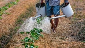 Trabalhadores pedem redução de juros para produzir alimentos no Brasil - economia, brasil