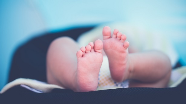 Itabuna: Recém-nascido é encontrado em caixa de papelão - itabuna, bahia