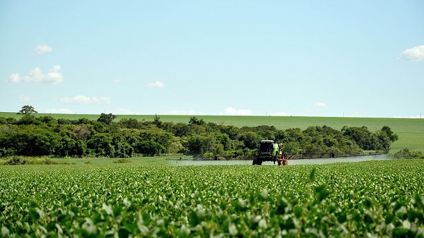 Confira os 17 pontos mais graves do novo decreto de Bolsonaro sobre agrotóxicos - brasil