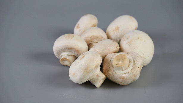 Benefícios dos cogumelos: 4 vantagens de consumir esse alimento - noticias, culinaria