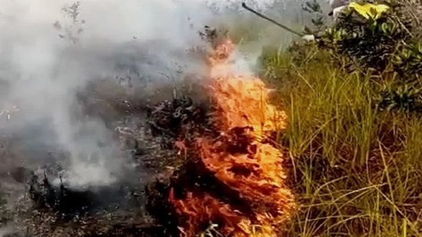 Rio de Contas: Fogo atinge 80 hectares de vegetação - rio-de-contas, bahia