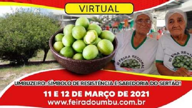 Vem aí a 11ª Feira do Umbu do Território Piemonte Norte do Itapicuru - senhor-do-bonfim, itapicuru, bahia