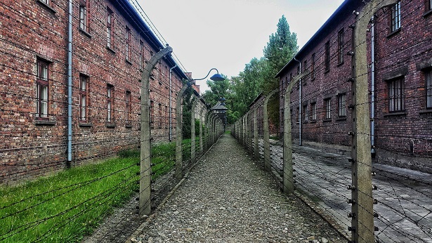 Dia Internacional em Memória das Vítimas do Holocausto é celebrado nesta quarta, 07 - mundo