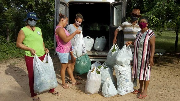 Ibotirama: Produtos derivados da mandioca geram renda para agricultores familiares - noticias, ibotirama, bahia