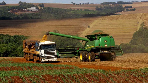 Safra de grãos encerra 2021 com crescimento de 4,4% frente ao ano anterior - economia