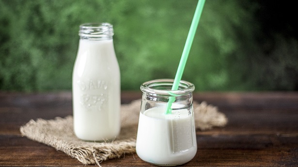 Curaçá: Produção de iogurte de leite de cabra gera renda para famílias - economia, curaca, bahia