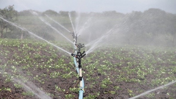 Abaré: Agricultores familiares aumentam produção com chegada de irrigação - noticias, bahia, abare