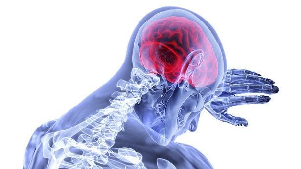 10 curiosidades sobre o crânio e o cérebro que irão te surpreender - curiosidade