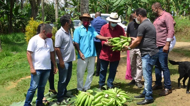 Muniz Ferreira: Governo e Município articulam ações estratégicas para impulsionar agricultura familiar - noticias, muniz-ferreira, bahia