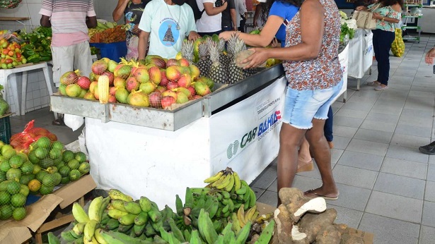 Muniz Ferreira: Governo e Município articulam ações estratégicas para impulsionar agricultura familiar - noticias, muniz-ferreira, bahia