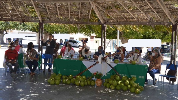 Rodelas: Comunidade Indígena Tuxá se prepara para lançar óleo de coco no mercado - rodelas, noticias, bahia