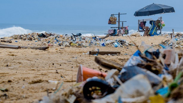 Ilha dos Frades: Mutirão de limpeza retira quase meia tonelada de lixo no aniversário de batismo da BTS - ilha-dos-frades, destaque