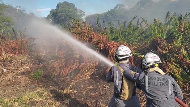 Paulo Afonso: Bombeiros apagam incêndio em área da caatinga após moradores atearem fogo - paulo-afonso, destaque, bahia