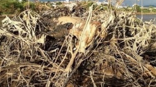 Jequié: Ossada humana foi encontrada por pescador às margens do Rio das Contas - jequie, destaque, bahia