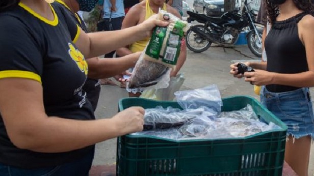 Cooperativa vendeu 14 toneladas de peixes para moradores de Monte Santo, Caldeirão Grande e Uauá - monte-santo, bahia