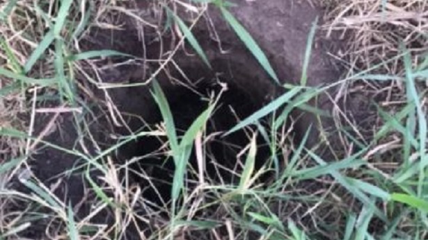Santo Estevão: Criança é encontrada viva após passar dois dias dentro de buraco - santo-estevao, bahia