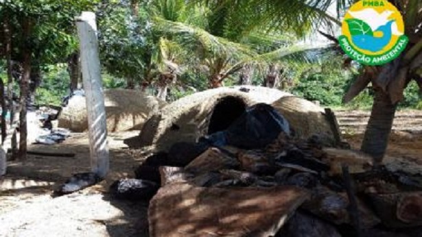 Santa Cruz Cabrália: Fornos clandestinos para produção de carvão são destruídos - santa-cruz-cabralia, policia, bahia