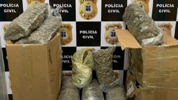Vitória da Conquista: Polícia apreende mais de 20 kg de maconha enviados por transportadora - vitoria-da-conquista, policia, jequie, bahia