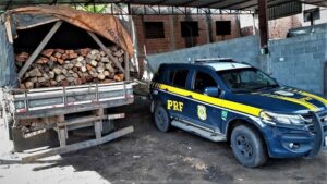 Itabuna: Carga de madeira transportada ilegalmente é apreendida na BR-101 - noticias, itabuna, bahia