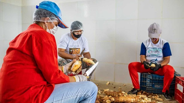 Maragogipe: Agricultores vendem derivados da mandioca para restaurantes e supermercados - noticias, maragojipe, destaque