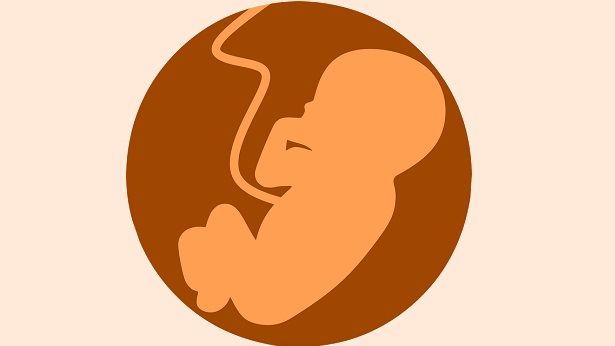 A vida começa na concepção - ADPF 442 (descriminalização do aborto até 12 semanas) - artigos