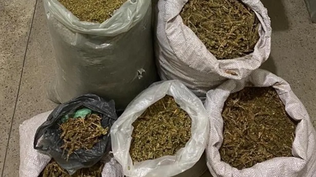 Juazeiro: Dupla é presa com 50 kg de maconha e arma - juazeiro, bahia