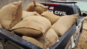 Eunápolis: Dois são presos e 780 kg de café em grãos furtados são recuperados - eunapolis