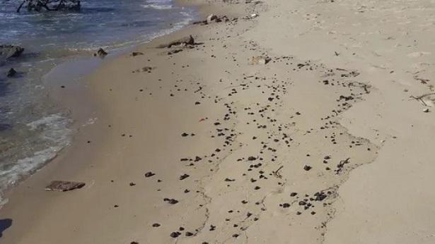 Ilhéus: Manchas de óleo são encontradas em praias - ilheus, bahia