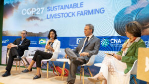 Brasil debate na COP 27 papel da pecuária sustentável para manutenção da segurança alimentar global - brasil