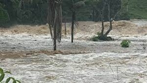 Amargosa: Após chuvas rio transborda e agua invade propriedades - noticias, amargosa