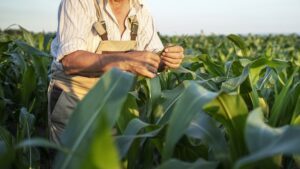 Governo lança campanha publicitária do Plano Safra e incentiva agro produtivo e sustentável - brasil