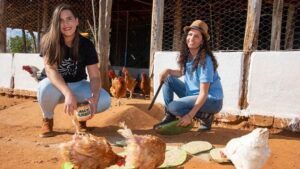 Belo Campo: Agricultores passam a produzir alimentos saudáveis; conheça a história de Gleide de Oliveira - belo-campo, bahia
