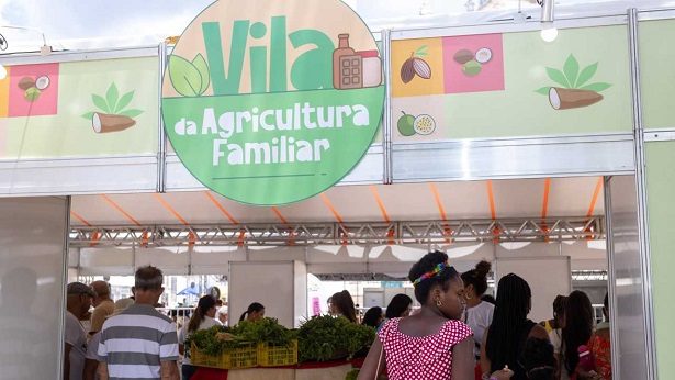 Santo Amaro: Vila da Agricultura Familiar é destaque na Feira da Saúde - santo-amaro, noticias