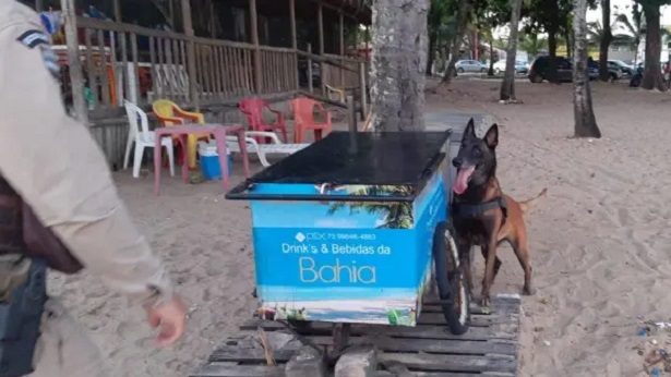 Porto Seguro: Cão farejador descobre drogas em carrinho de bebidas na praia - porto-seguro, policia