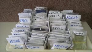 Polícia Militar recupera mais de 500 documentos perdidos na folia - bahia
