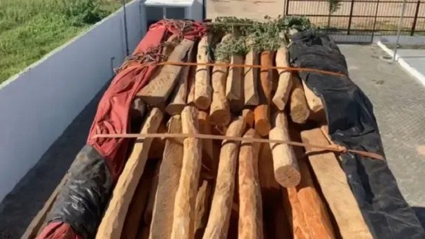 Barra: Homens são presos por transporte ilegal de madeira nativa - noticias, barra, bahia