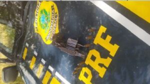 Homem é preso em Riachão do Jacuípe após comprar revólver na feira do ‘rolo’ em Goiás - riachao-do-jacuipe, noticias