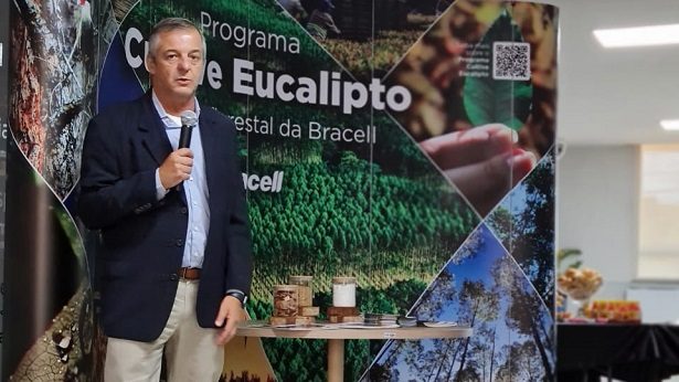 Bracell apresenta programa de cultivo de eucalipto para Santo Antônio de Jesus e região - saj, noticias, destaque
