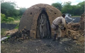 Carinhanha: Polícia destrói fornos ilegais de produção de carvão - carinhanha