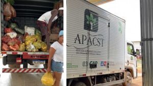 SAJ: Famílias da Sapucaia entregam produtos da agricultura familiar para alimentação escolar - saj, noticias, destaque