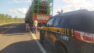 Nova Viçosa: PRF flagra bi-trem transportando toras de eucalipto soltas na carroceria - nova-vicosa, noticias, bahia