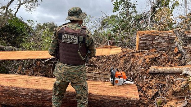 Lençóis: Cippa recupera 70 metros de madeira com suspeito - lencois, destaque, bahia