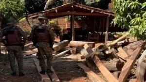 Lençóis: Serraria ilegal de madeira nativa é fechada; idoso é levado para delegacia - lencois
