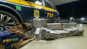 Vitória da Conquista: Passageiro de ônibus é preso com 56 kg de maconha; droga iria para região sisaleira - vitoria-da-conquista, policia