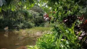 Ilhéus: Terreiro de candomblé arrecada fundos para reconstrução de represa no sul da Bahia - noticias, ilheus, bahia