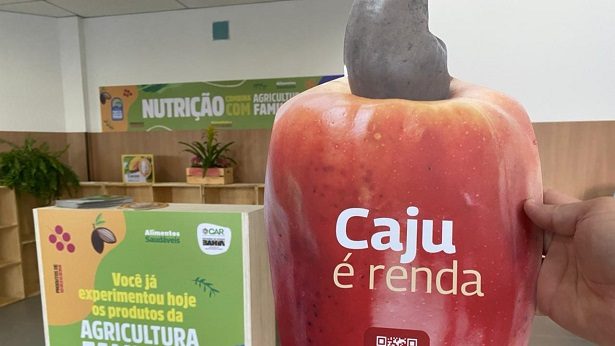 Nutrição e Agricultura Familiar se unem em Salvador neste sábado - salvador, noticias