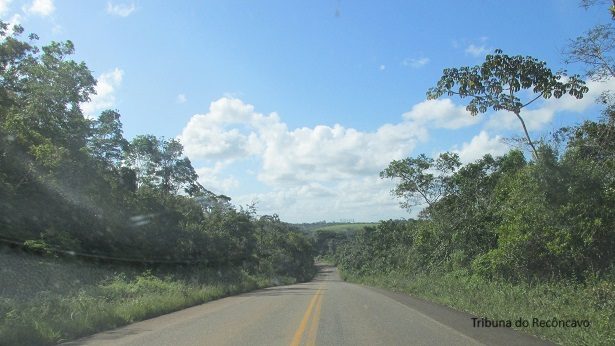 Presidente Tancredo Neves: Homem morre vítima de acidente na BA-542 - presidente-tancredo-neves, destaque, transito